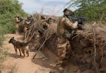 French special forces eliminate Ansarul Islam’s top terrorist