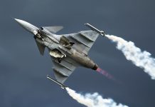 Sweden’s Air Force Modernization: Gripen E, NATO Role and Future Fighter Plans