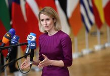 Kallas Scraps EU Defense Advisory Group Amid Opposition
